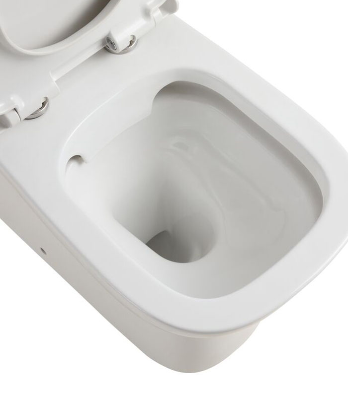 Posh Solus Round Toilet 2